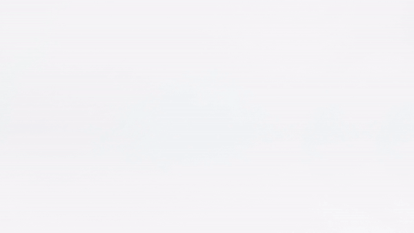 75054579